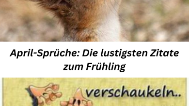 Photo of April Sprüche: Die 11 Lustigsten Zitate Zum Frühling