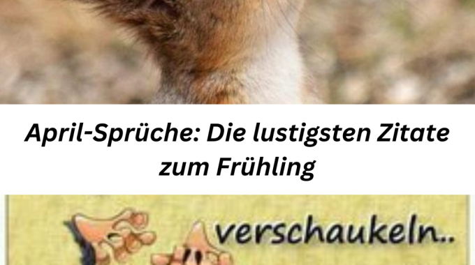 April Sprüche: Die 11 Lustigsten Zitate Zum Frühling