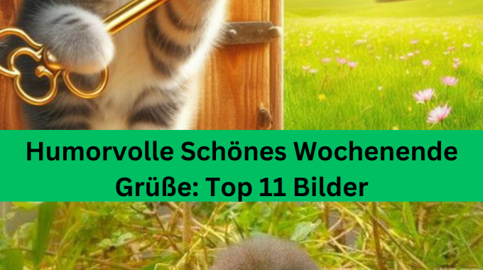 Humorvolle Schönes Wochenende Grüße: Top 11 Bilder