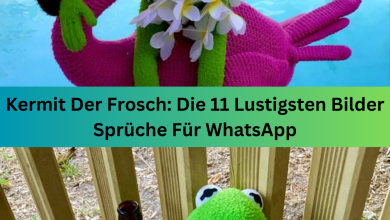 Photo of Kermit Der Frosch: Die 11 Lustigsten Bilder Sprüche Für WhatsApp
