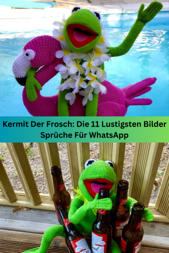 Kermit Der Frosch: Die 11 Lustigsten Bilder Sprüche Für WhatsApp
