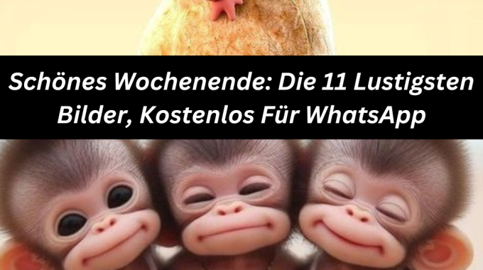 Schönes Wochenende: Die 11 Lustigsten Bilder, Kostenlos Für WhatsApp