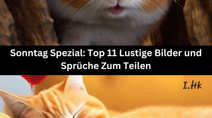 Sonntag Spezial: Top 11 Lustige Bilder und Sprüche Zum Teilen