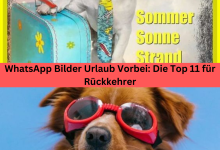 Photo of WhatsApp Bilder Urlaub Vorbei: Die Top 11 für Rückkehrer