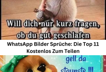 Photo of WhatsApp Bilder Sprüche: Die Top 11 Kostenlos Zum Teilen