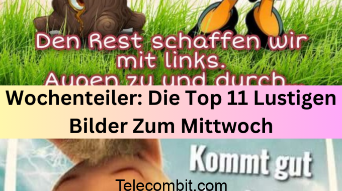 Wochenteiler: Die Top 11 Lustigen Bilder Zum Mittwoch