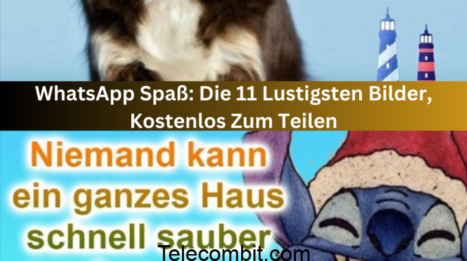 WhatsApp Spaß: Die 11 Lustigsten Bilder, Kostenlos Zum Teilen