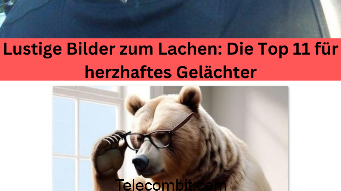 Lustige Bilder zum Lachen: Die Top 11 für herzhaftes Gelächter