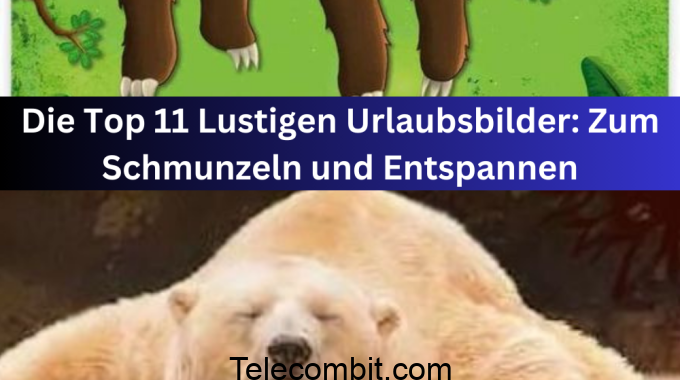 Die Top 11 Lustigen Urlaubsbilder: Zum Schmunzeln und Entspannen