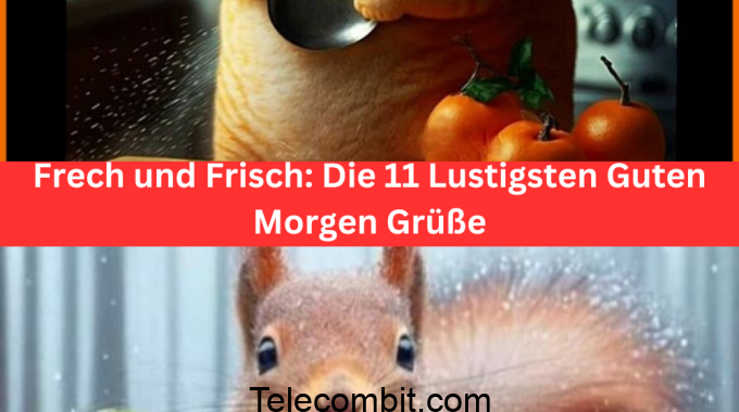 Montag Morgen Lachen: Die 11 Lustigsten Guten Morgen Bilder