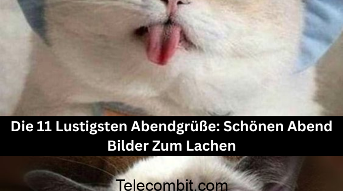 Die 11 Lustigsten Abendgrüße: Schönen Abend Bilder Zum Lachen