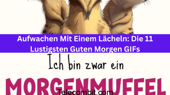 Aufwachen Mit Einem Lächeln: Die 11 Lustigsten Guten Morgen GIFs