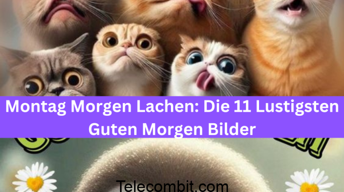 Ricarda Lang: Die 11 Originellsten Memes