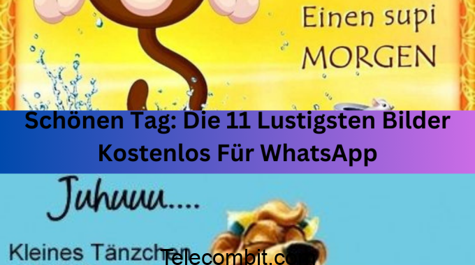 Schönen Tag: Die 11 Lustigsten Bilder Kostenlos Für WhatsApp