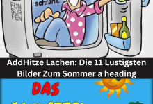Photo of Hitze Lachen: Die 11 Lustigsten Bilder Zum Sommer