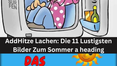 Photo of Hitze Lachen: Die 11 Lustigsten Bilder Zum Sommer