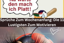 Photo of Sprüche Zum Wochenanfang: Die 11 Lustigsten Zum Motivieren