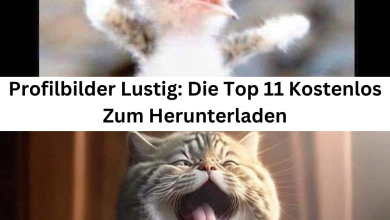 Photo of Profilbilder Lustig: Die Top 11 Kostenlos Zum Herunterladen