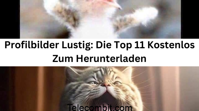 Lustige Profilbilder