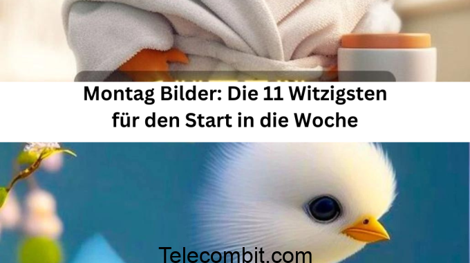 Montag Bilder: Die 11 Witzigsten für den Start in die Woche