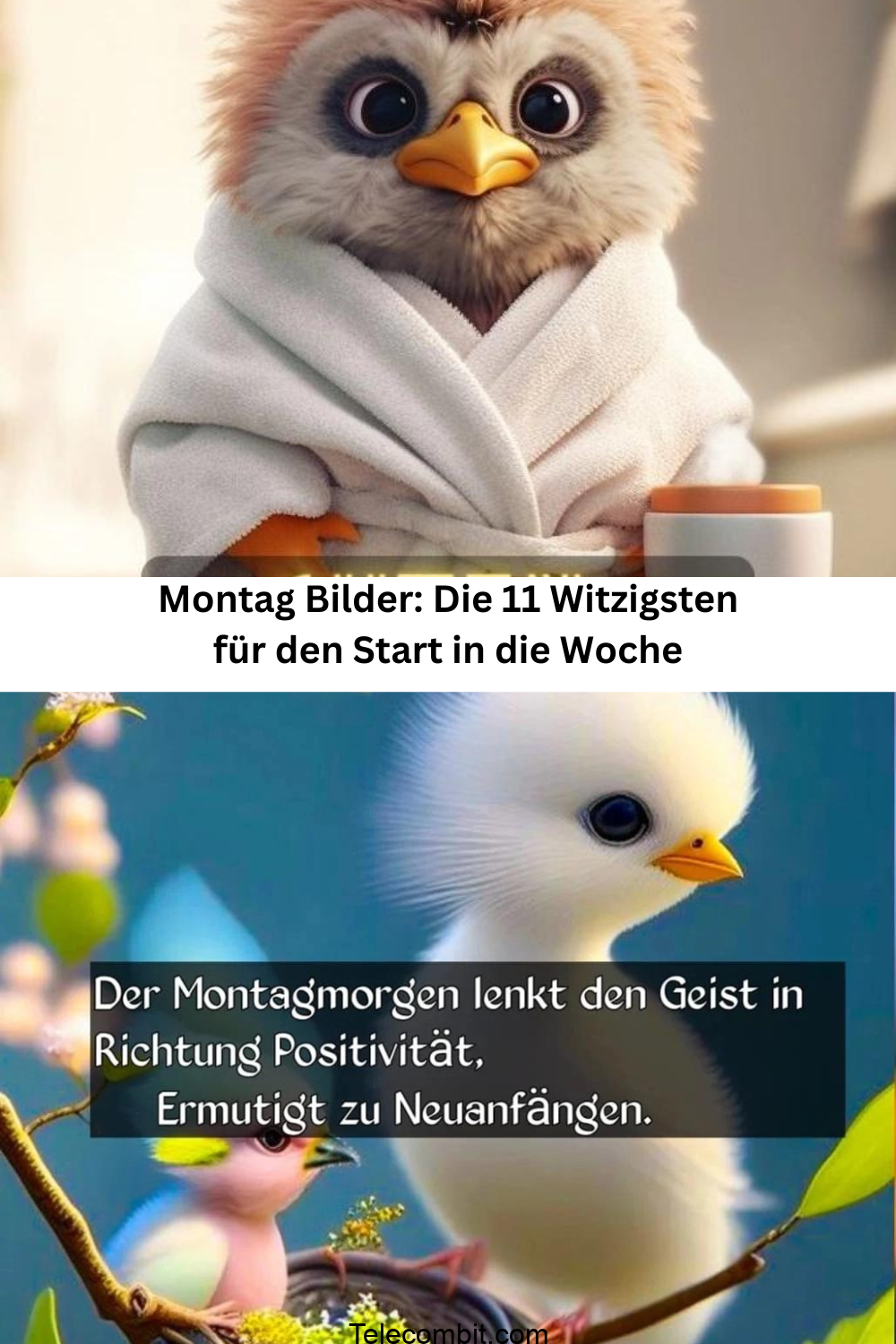 Montag Bilder: Die 11 Witzigsten für den Start in die Woche