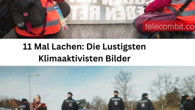 Photo of 11 Mal Lachen: Die Lustigsten Klimaaktivisten Bilder