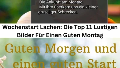 Photo of Wochenstart Lachen: Die Top 11 Lustigen Bilder Für Einen Guten Montag