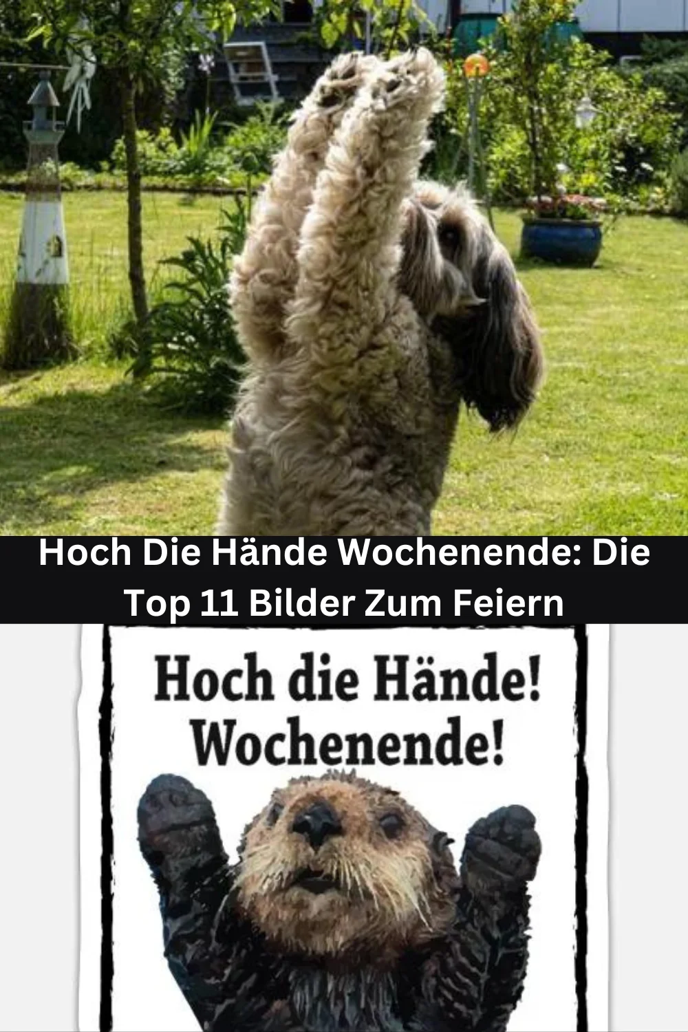 Hoch Die Hände Wochenende