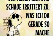 Photo of Frech Lachen: Die 11 Lustigsten Bilder Mit Sprüchen, Kostenlos