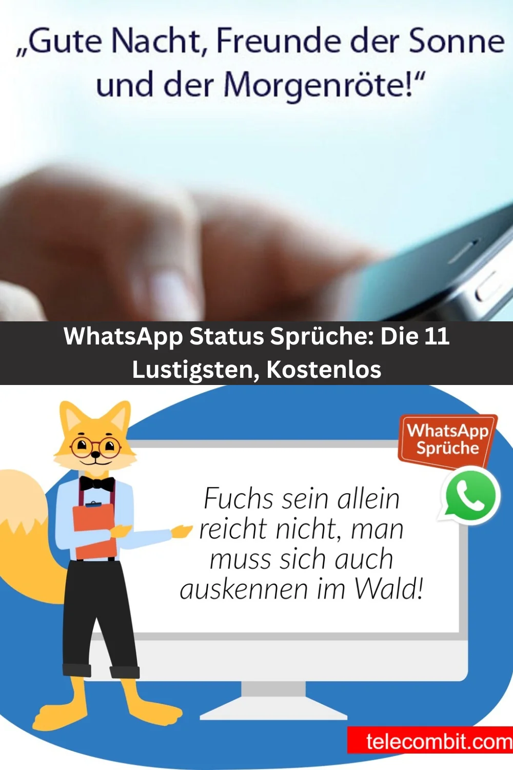 WhatsApp Status Sprüche: Die 11 Lustigsten, Kostenlos