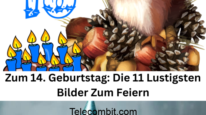 Zum 14. Geburtstag: Die 11 Lustigsten Bilder Zum Feiern